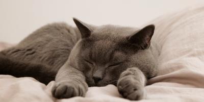 Nieregularny sen może być powiązany z większym ryzykiem demencji