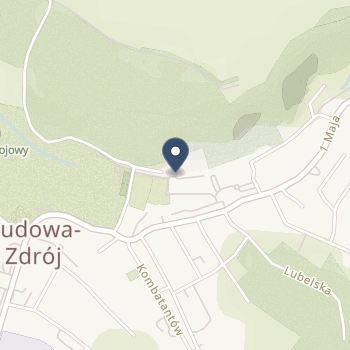 SPZOZ Sanatorium Uzdrowiskowe "Bristol"Mswia w Kudowie-Zdroju na mapie