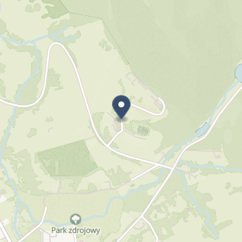 "Uzdrowisko Wysowa" Niepubliczny Zespół Zakładów Opieki Zdrowotnej na mapie