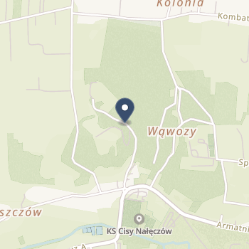 NZOZ Sanatorium Uzdrowiskowe Związku Nauczycielstwa Polskiego Zg na mapie