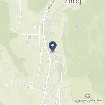 Uzdrowisko Krynica-Żegiestów na mapie