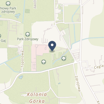 Sanatorium Uzdrowiskowe "Nida - Zdrój" na mapie