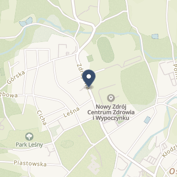 Uzdrowiska Kłodzkie -Grupa PGU na mapie